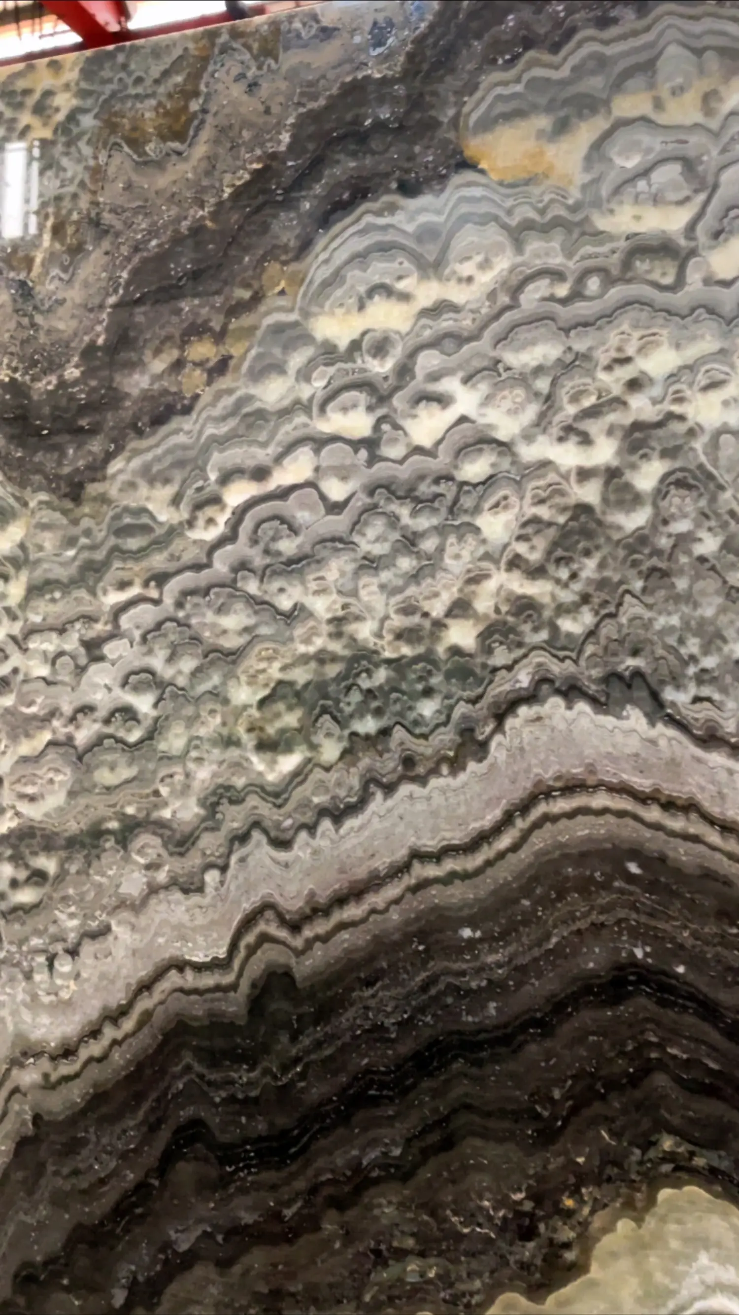 Agate Onyx